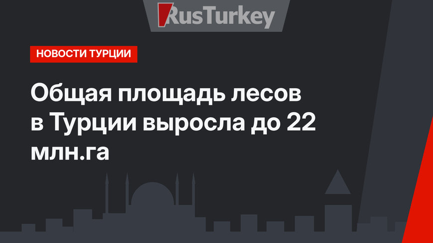 Общая площадь лесов в Турции выросла до 22 млн.га