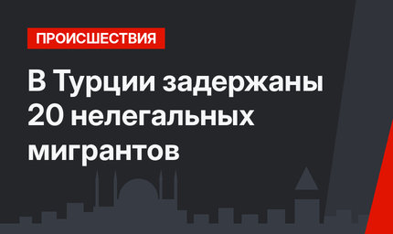 В Турции задержаны 20 нелегальных мигрантов