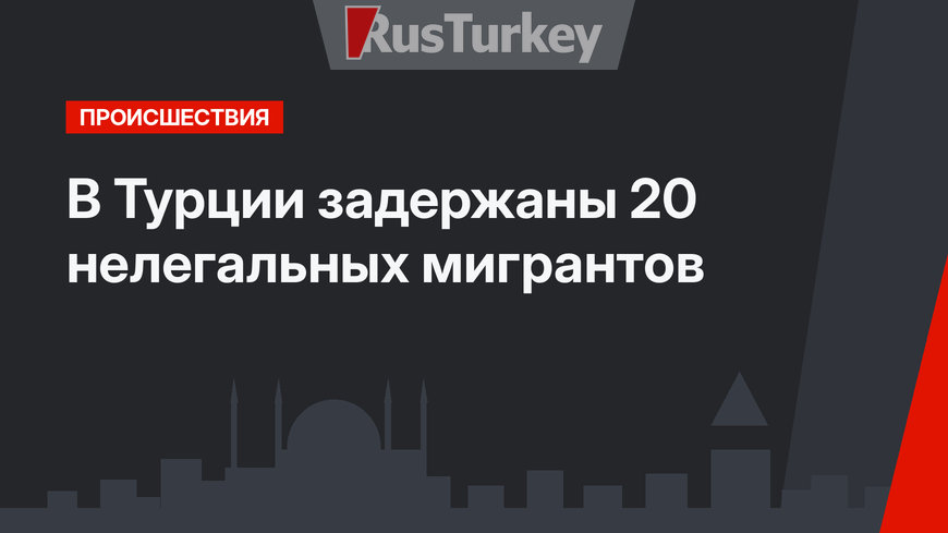 В Турции задержаны 20 нелегальных мигрантов