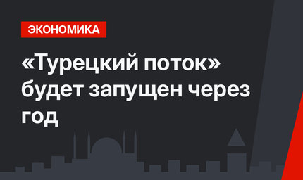 «Турецкий поток» будет запущен через год