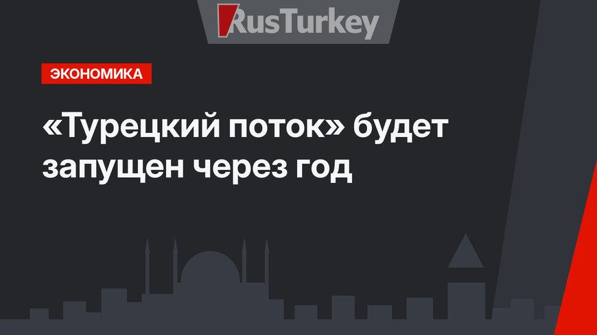 «Турецкий поток» будет запущен через год