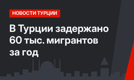 В Турции задержано 60 тыс. мигрантов за год