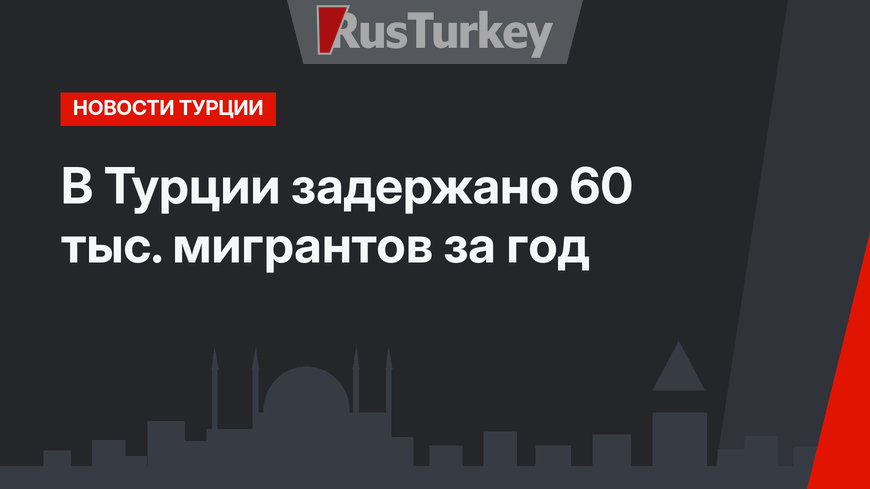 В Турции задержано 60 тыс. мигрантов за год