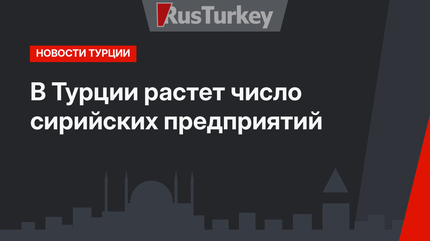 В Турции растет число сирийских предприятий