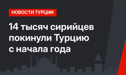 14 тысяч сирийцев покинули Турцию с начала года