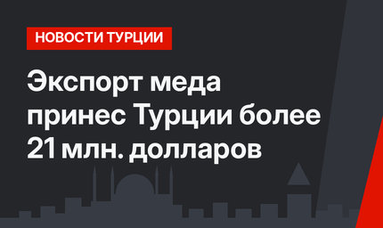 Экспорт меда принес Турции более 21 млн. долларов