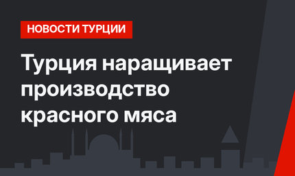 Турция наращивает производство красного мяса