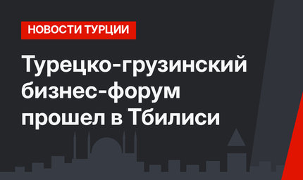 Турецко-грузинский бизнес-форум прошел в Тбилиси