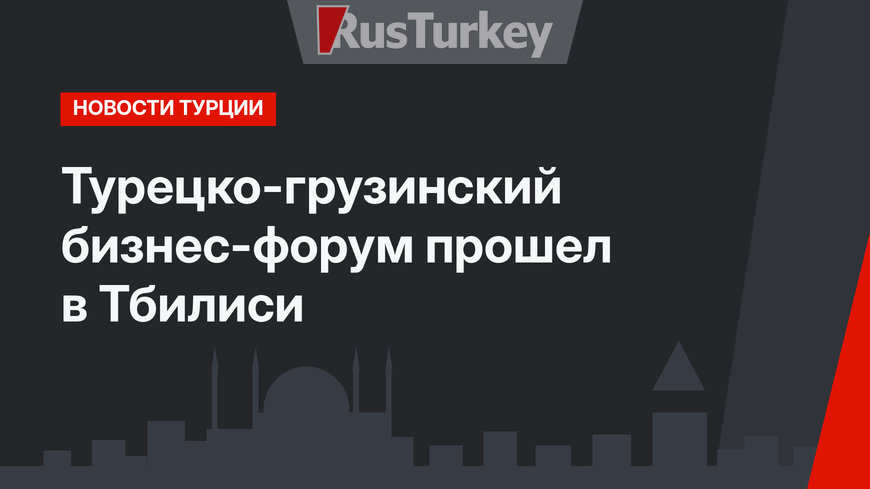 Турецко-грузинский бизнес-форум прошел в Тбилиси
