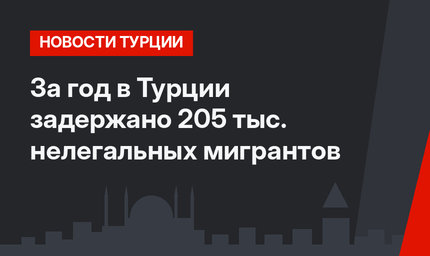 За год в Турции задержано 205 тыс. нелегальных мигрантов
