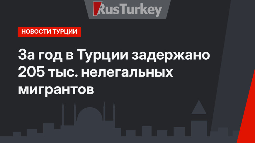 За год в Турции задержано 205 тыс. нелегальных мигрантов