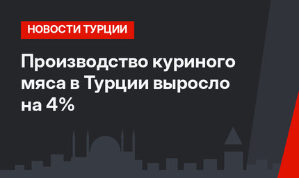 Производство куриного мяса в Турции выросло на 4%