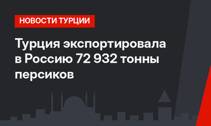 Турция экспортировала в Россию 72 932 тонны персиков