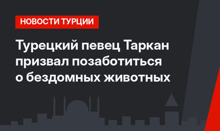 Турецкий певец Таркан призвал позаботиться о бездомных животных