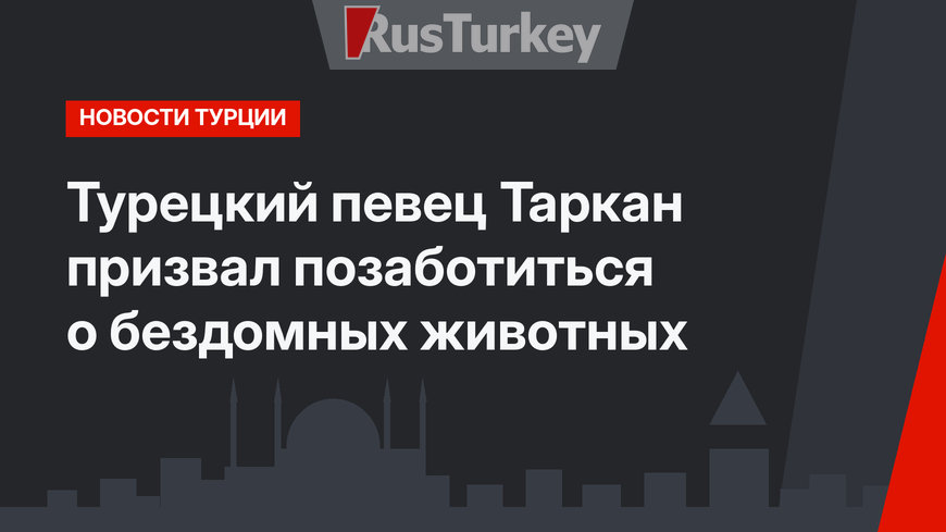 Турецкий певец Таркан призвал позаботиться о бездомных животных
