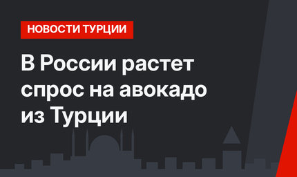 В России растет спрос на авокадо из Турции