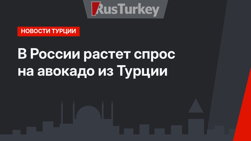 В России растет спрос на авокадо из Турции