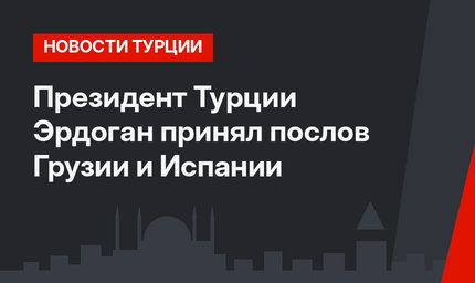 Президент Турции Эрдоган принял послов Грузии и Испании