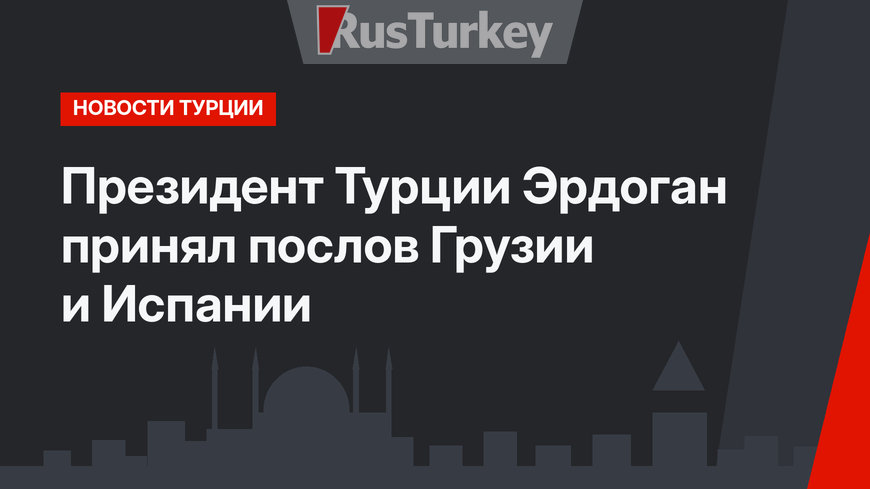 Президент Турции Эрдоган принял послов Грузии и Испании