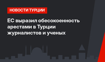 ЕС выразил обесокоенность арестами в Турции журналистов и ученых