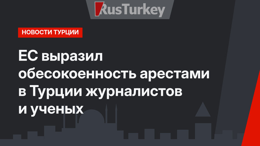 ЕС выразил обесокоенность арестами в Турции журналистов и ученых
