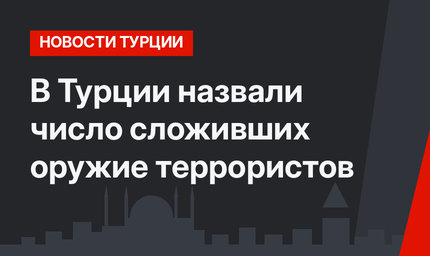 В Турции назвали число сложивших оружие террористов