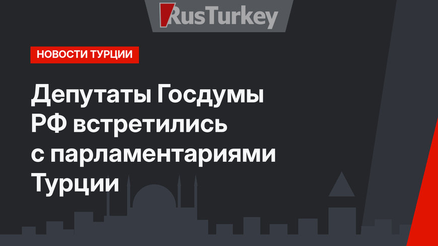 Депутаты Госдумы РФ встретились с парламентариями Турции