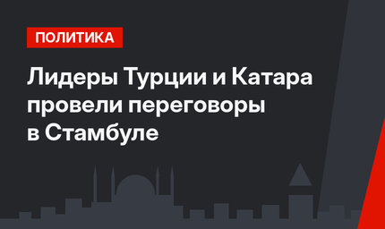 Лидеры Турции и Катара провели переговоры в Стамбуле