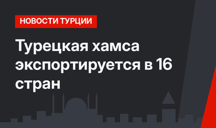 Турецкая хамса экспортируется в 16 стран
