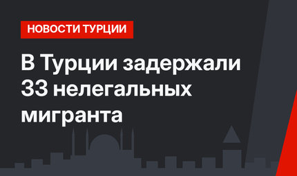 В Турции задержали 33 нелегальных мигранта