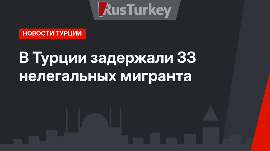 В Турции задержали 33 нелегальных мигранта