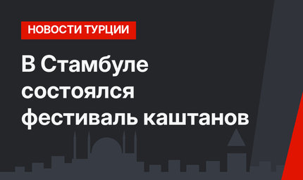 В Стамбуле состоялся фестиваль каштанов
