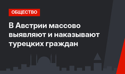 В Австрии массово выявляют и наказывают турецких граждан 