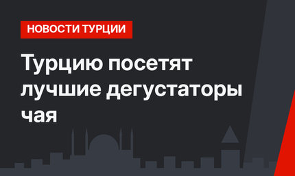 Турцию посетят лучшие дегустаторы чая