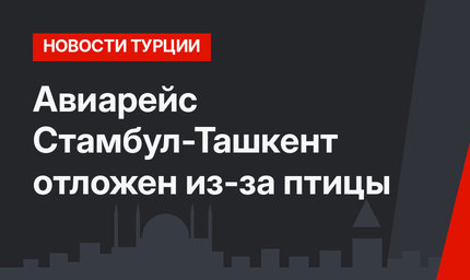 Авиарейс Стамбул-Ташкент отложен из-за птицы
