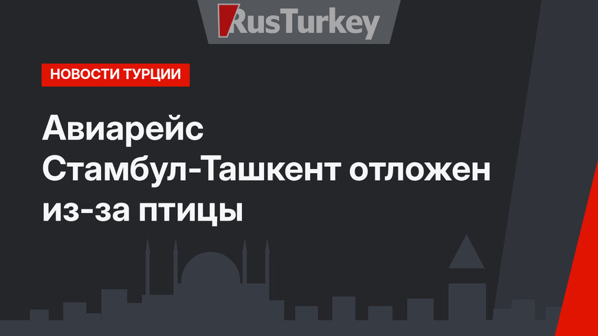 Авиарейс Стамбул-Ташкент отложен из-за птицы