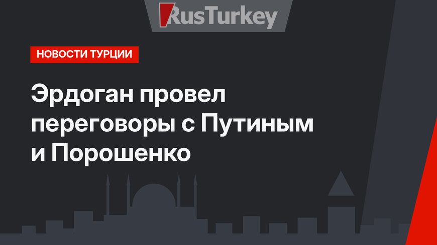 Эрдоган провел переговоры с Путиным и Порошенко