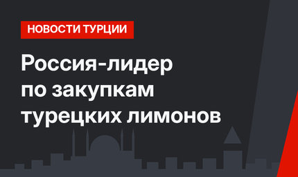 Россия-лидер по закупкам турецких лимонов