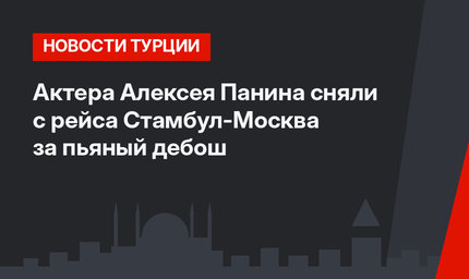 Актера Алексея Панина сняли с рейса Стамбул-Москва за пьяный дебош