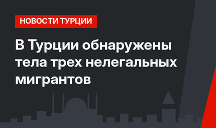 В Турции обнаружены тела трех нелегальных мигрантов