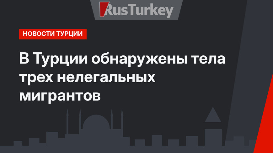 В Турции обнаружены тела трех нелегальных мигрантов