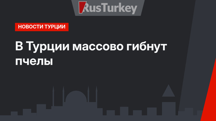 В Турции массово гибнут пчелы
