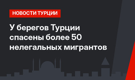 У берегов Турции спасены более 50 нелегальных мигрантов