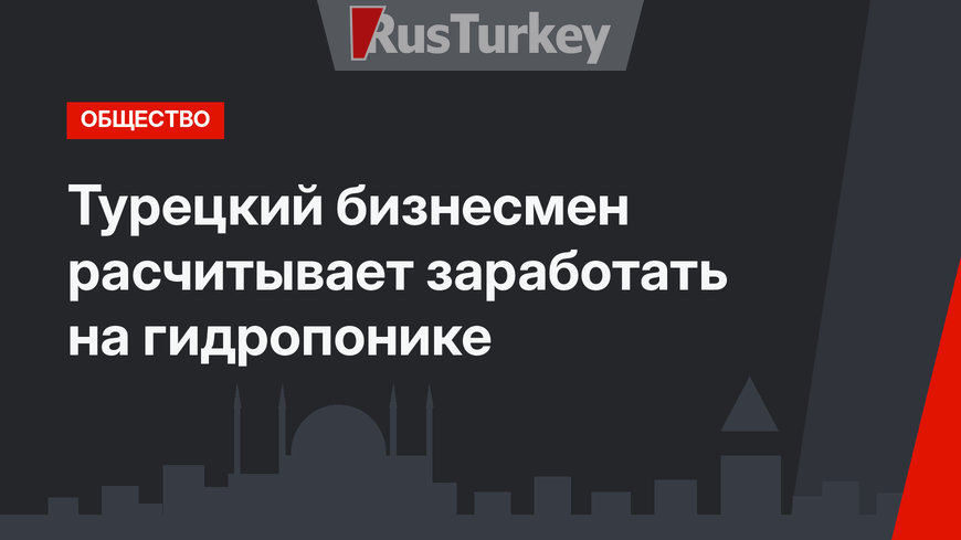 Турецкий бизнесмен расчитывает заработать на гидропонике