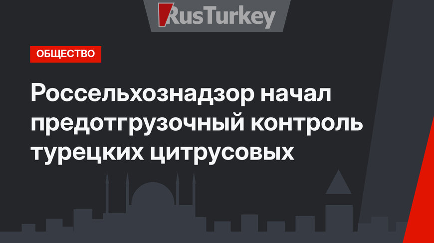 Россельхознадзор начал предотгрузочный контроль турецких цитрусовых