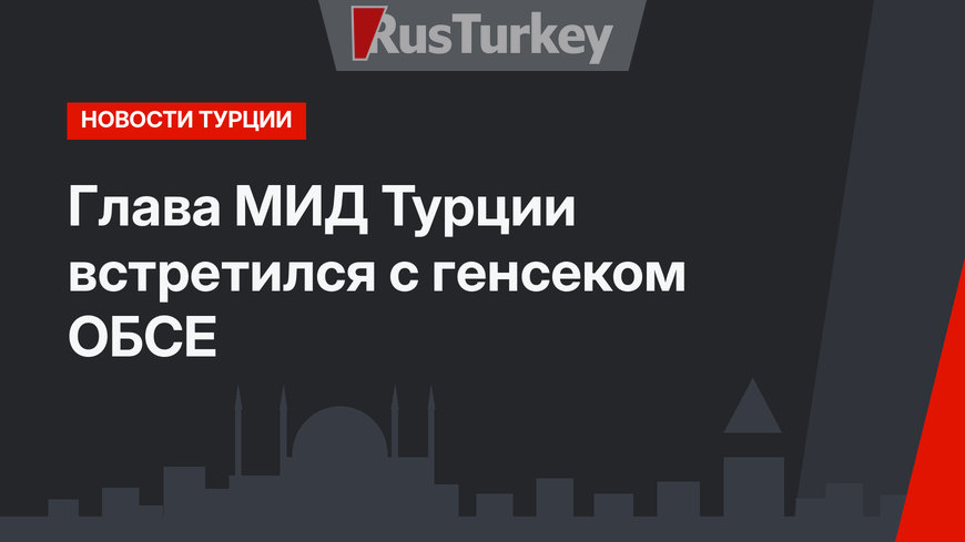 Глава МИД Турции встретился с генсеком ОБСЕ 