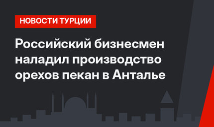 Российский бизнесмен наладил производство орехов пекан в Анталье