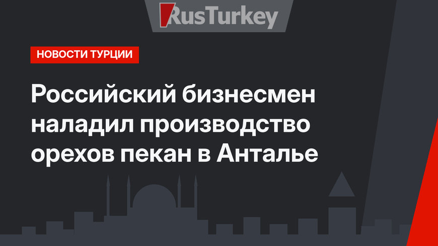 Российский бизнесмен наладил производство орехов пекан в Анталье