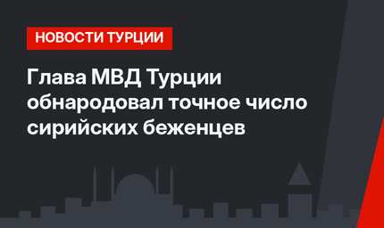 Глава МВД Турции обнародовал точное число сирийских беженцев