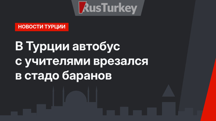 В Турции автобус с учителями врезался в стадо баранов 